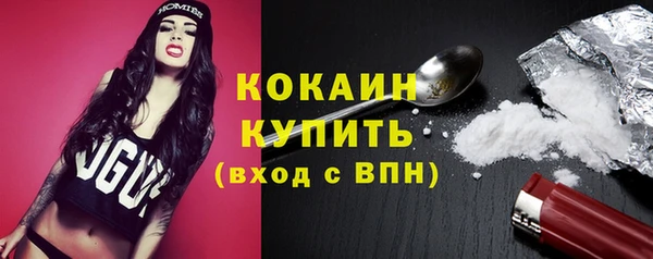 меф Пересвет