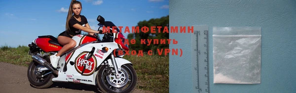 прущие грибы Пестово