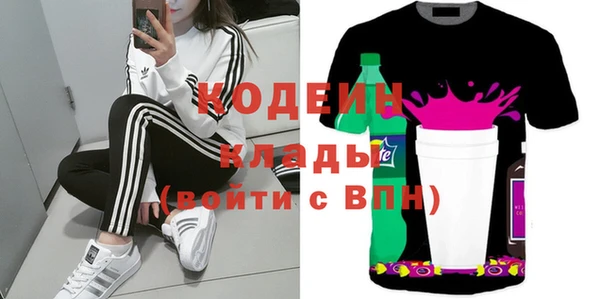 СК Гатчина