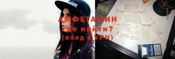 прущие грибы Пестово