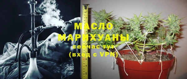 меф Пересвет