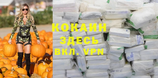 меф Пересвет
