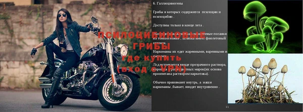 меф Пересвет